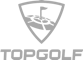 TopGolf